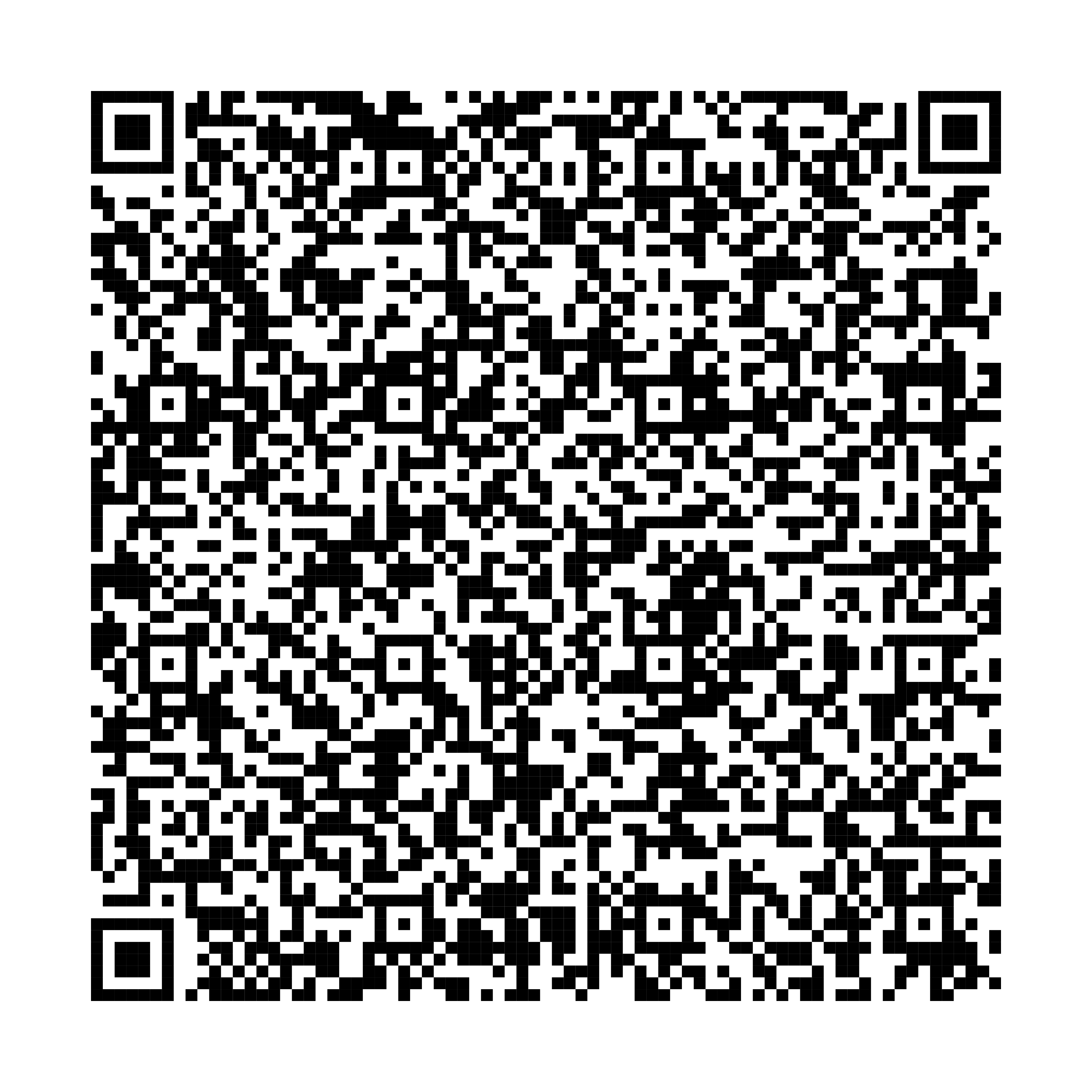 QR Hocicos